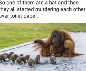 Stupid Bar Memes 5f25f4a6b513c