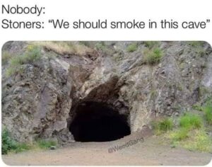 Stupid Bar Memes 5f29a5b598689