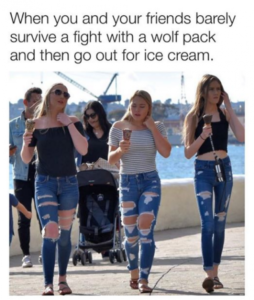 Stupid Bar Memes 86336254