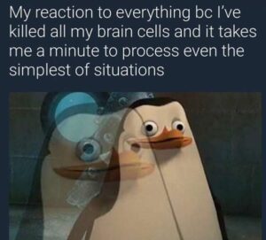 Stupid Bar Memes 86336259