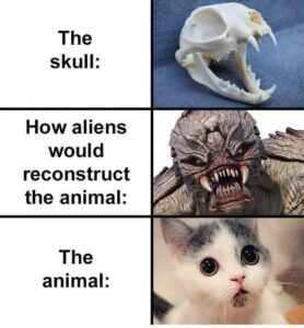 Stupid Bar Memes 86336265