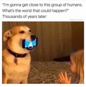 Stupid Bar Memes 86336285
