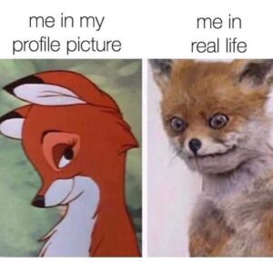 Stupid Bar Memes FB IMG 15966352064461