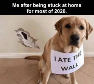 Stupid Bar Memes me after the first 7 months of 2020