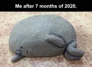 Stupid Bar Memes when me after 7 months of 2020