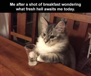 Stupid Bar Memes when my phone is charging