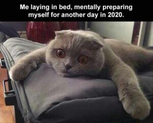 Stupid Bar Memes when you laying in bed mentally prepping yourself for the day ahead