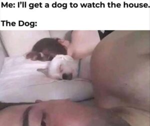 Stupid Bar Memes z funny 105 1