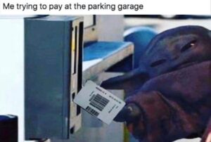 Stupid Bar Memes z funny 112 1