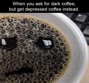 Stupid Bar Memes z funny 115 1