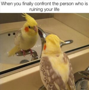 Stupid Bar Memes z funny 124 1