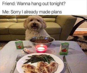 Stupid Bar Memes z funny 96 1