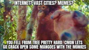 Stupid Bar Memes 60181d2babce3