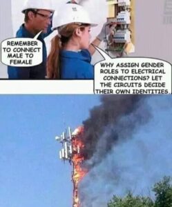 Stupid Bar Memes 601936645d8d0
