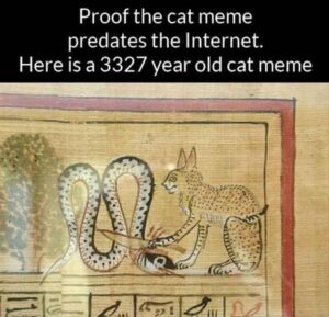 Stupid Bar Memes animal memes 12