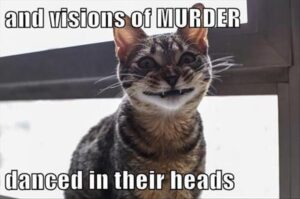 Stupid Bar Memes animal memes 17