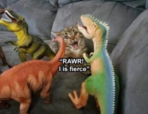 Stupid Bar Memes animal memes 23