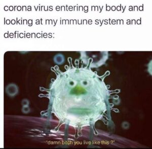 Stupid Bar Memes coronavirus memes to cure your cabin fever xx photos 25