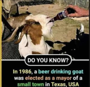 Stupid Bar Memes daily afternoon randomness 49 photos 19