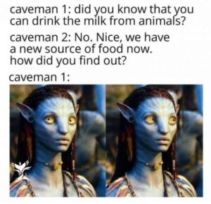 Stupid Bar Memes enjoy a mid day dirty dump you know the kind 40 photos 26