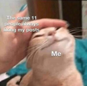 Stupid Bar Memes iTT1xqj