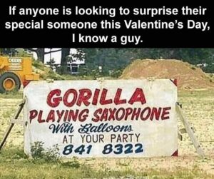 Stupid Bar Memes when you have a party
