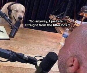 Stupid Bar Memes yy 6