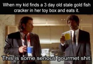 Stupid Bar Memes z dumpaday memes 14 1