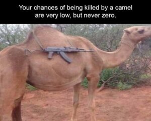 Stupid Bar Memes z dumpaday memes 3 1