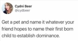Stupid Bar Memes 13a16