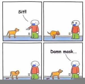 Stupid Bar Memes 195b4017827438d1