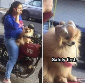 Stupid Bar Memes 1ssafetysfirst