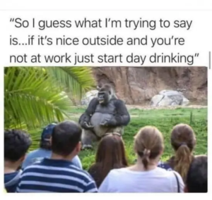 Stupid Bar Memes 2uUOudr
