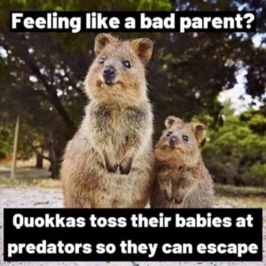 Stupid Bar Memes 4