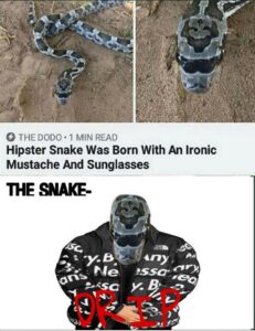 Stupid Bar Memes 5qftt6jimmo61