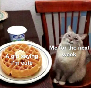 Stupid Bar Memes 603e83596c179