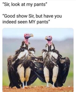 Stupid Bar Memes 603e9143ed889
