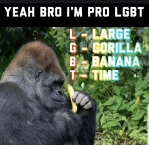 Stupid Bar Memes 603ffc972f661