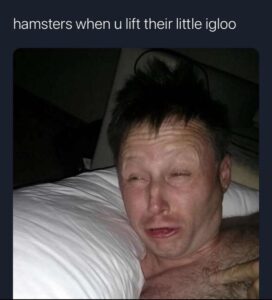 Stupid Bar Memes 6040334034a62