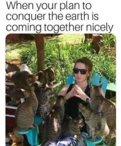 Stupid Bar Memes 6040534a23ffc
