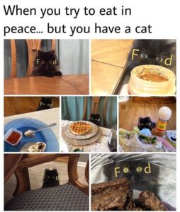 Stupid Bar Memes 60411b5c29844