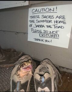 Stupid Bar Memes 60413255ebfca