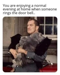Stupid Bar Memes 60416975a6cc9