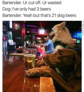 Stupid Bar Memes 60426e1d9240b