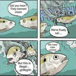 Stupid Bar Memes 6042718972ca9