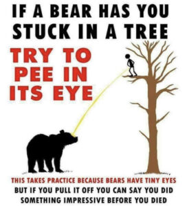 Stupid Bar Memes 604278489f1df