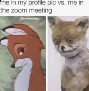 Stupid Bar Memes 604278c6cb215