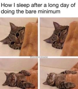 Stupid Bar Memes 604278decd9ff