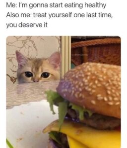 Stupid Bar Memes 60429a49f2366