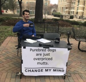 Stupid Bar Memes 6042c8d397d28
